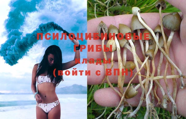 дмт Балабаново