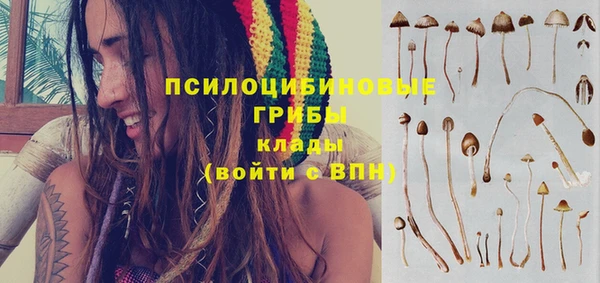 трава Баксан